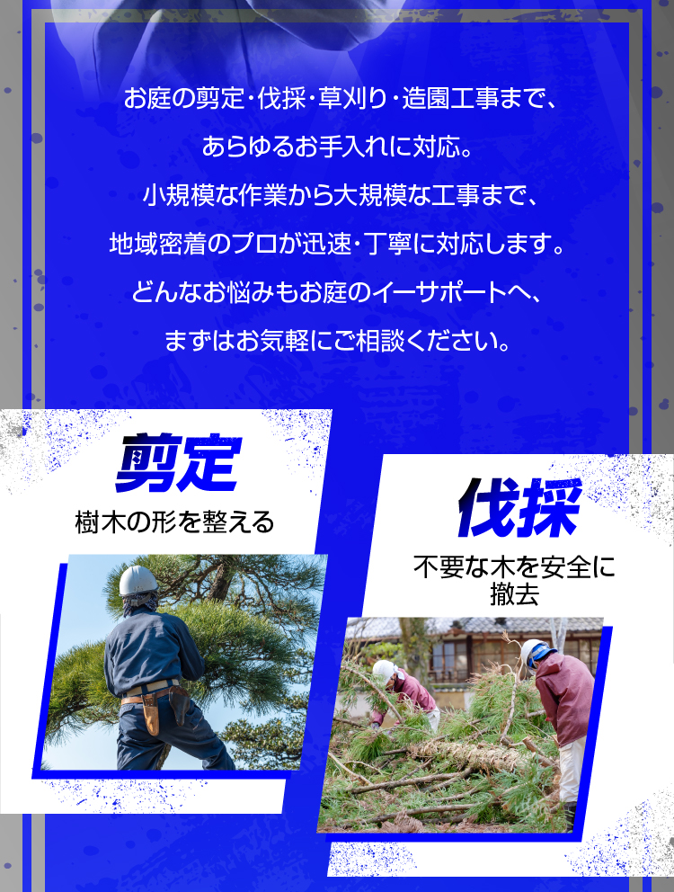 剪定 伐採